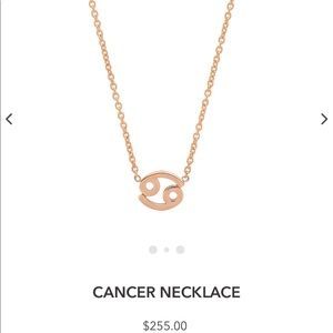 14K Rose Gold Cancer Zodiac Necklace - BYCHARI